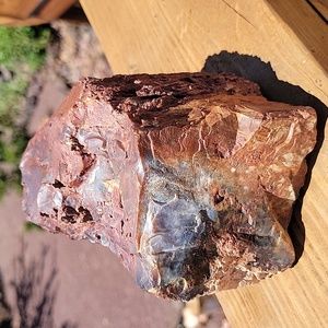 3lbs 2.6oz Az rainbow chunk petrified wood specimen